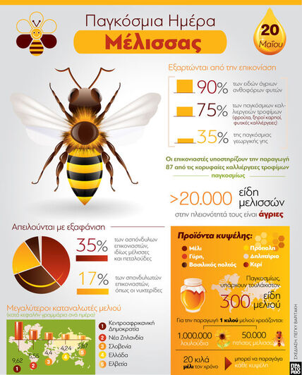 Παγκόσμια Ημέρα Μέλισσας 