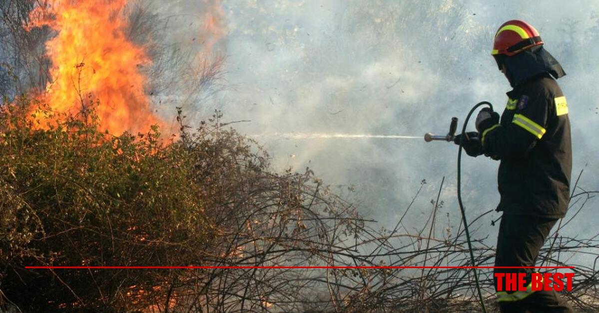 Πάτρα: Φωτιά στο Πλατάνι - Κοινωνικά νέα και ειδήσεις