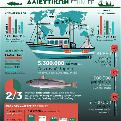 Ελληνικά αλιευτικά: Ο μεγαλύτερος στόλος...