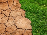 Δυτική Ελλάδα: Ξεκίνησε η εφαρμογή των μ...