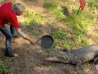 Του όρμηξε κροκόδειλος και εκείνος τον π...