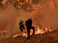 Φωτιές: Ζητήθηκε η συνδρομή του Ευρωπαϊκ...