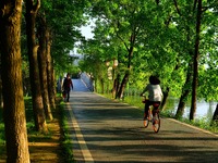 Περπάτημα ή ποδηλασία; Τα οφέλη σε αντοχ...