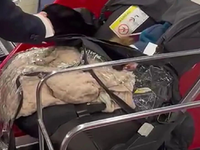 Γονείς εγκατέλειψαν το μωρό τους στο αερ...