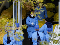 Η Ασθένεια Χ βρίσκεται προ των πυλών – Π...