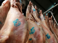 Πάτρα: «Υπάρχει επάρκεια για το Πάσχα» λ...