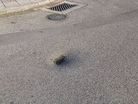 Πάτρα: Σε ποιο δρόμο θα βρεις αυτή την τ...