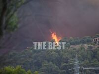 Φωτιά Ζήρια: Κλιμάκιο της ΔΑΕΕ για την δ...