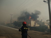 Φωτιές: Στις 81 οι πυρκαγιές το τελευταί...