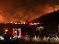 Φωτιά στην Άμφισσα: Έφτασαν οι φλόγες στ...