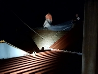 Καλαβρυτοχώρια: Σκεπάζουν "κακήν κα...