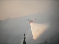 Φωτιά Αιγιάλεια: Αναζωπυρώσεις τη νύχτα ...