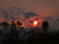 Κλιματική αλλαγή: Φονικότερη κι από κορο...