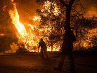 Μάχη με τις φλόγες στην Εύβοια για να σω...