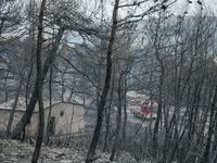 Βρέθηκε ανθρώπινο κρανίο στα καμμένα στα...