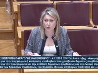 Χριστίνα Αλεξοπούλου: Εισηγήτρια στο νομ...