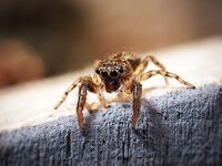 Πύργος: Σε κρίσιμη κατάσταση 48χρονος απ...