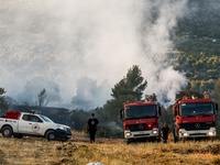 Χωρίς ενεργό μέτωπο Πεντέλη, Μέγαρα, Σαλ...