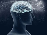 Συρρίκνωση και ατροφία του εγκεφάλου μπο...