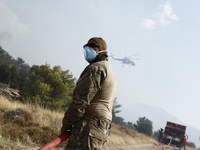 Πυρκαγιά στη Πάρνηθα. (ΣΩΤΗΡΗΣ ΔΗΜΗΤΡΟΠΟ...