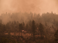 Εύβοια: Μεγάλη αναζωπύρωση μεταξύ Γαλατσ...