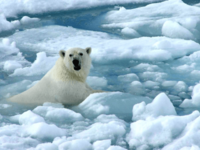 Κλιματική κρίση: Η άνοδος της στάθμης τω...