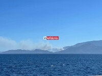 Φωτιά στην Κεφαλονιά: Μέσα στο χωριό Καπανδρίτι οι φλόγες- ΦΩΤΟ & ΒΙΝΤΕΟ Φωτιά στην Κεφαλονιά: Μέσα στο χωριό Καπανδρίτι οι φλόγες- ΦΩΤΟ & ΒΙΝΤΕΟ
