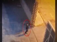 Κερατσίνι: Συγκλονιστικό βίντεο ντοκουμέ...