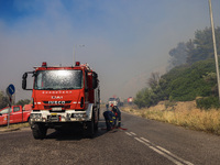 Φωτιά στη Χίο: Πάνω από 60.000 στρέμματα...