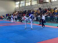 Με 400 αθλητές το πανελλήνιο σχολικό πρω...