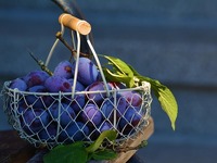  Δαμάσκηνα: Γιατί είναι το καλύτερο φρού...