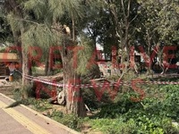 Σαρώνουν οι νοτιάδες την Κρήτη - Πτώσεις...