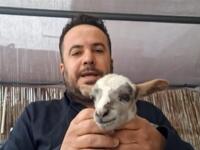 «Γεννήθηκε χθες και θα το θανατώσουν»: Σ...