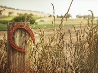 Τα 2 ζώδια που θα έχουν την πιο τυχερή χ...