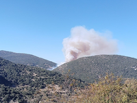 Πάτρα: Χωρίς ενεργό μέτωπο η φωτιά στο Π...