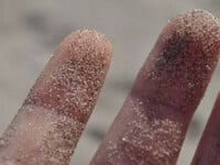 Τι είναι η «έβδομη αίσθηση» που ονομάζετ...