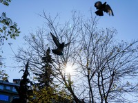 «Άνοιξη» μέχρι τα Θεοφάνια- Ο καιρός την...