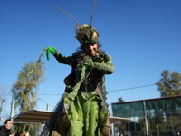 Καρναβάλι των Μικρών 2026: Έρχεται η 2η ...