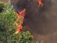 Τα αυξημένα μικροσωματίδια από τις πυρκα...