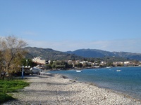 Αχαΐα: Χαμηλή η πληρότητα για την Πρωτομ...