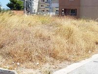 Πάτρα: Ο Δήμος σας καλεί να καθαρίσετε τ...