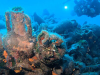 Αλόννησος: Ανοίγει το πρώτο υποβρύχιο μο...