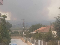 Ηλεία: Πλιάτσικο… μετά τις φωτιές - Σε ε...