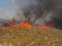Πυρκαγιά σε δασική έκταση στην Κεφαλονιά