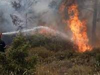 Πάτρα: Φωτιά σε ελαιώνα στη περιοχή του ...