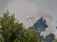 Εισαγγελική παρέμβαση για τις φωτιές- Yπ...
