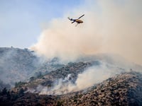Χίος: Στα 40.918 στρέμματα η πληγείσα έκ...