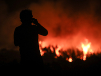 Φωτιές-Ηλεία: Μαίνεται το μέτωπο στη Βαρ...