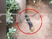 Νέο Ψυχικό: Αυτός είναι ο εκρηκτικός μηχ...