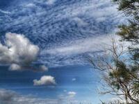 Καιρός: Με υψηλές θερμοκρασίες και αφρικ...